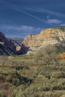 Images Dated 10th April 2012: Looking up pool creek canyon, Dinosaur National Monument, Utah
