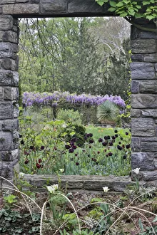 Chanticleer Prints: Looking through the window ruins. Chanticleer Garden, Wayne, Pennsylvania
