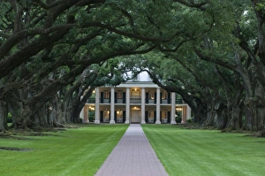 Nostalgia Prints: Louisiana, St. James Parish, Vacherie, Oak Alley Plantation