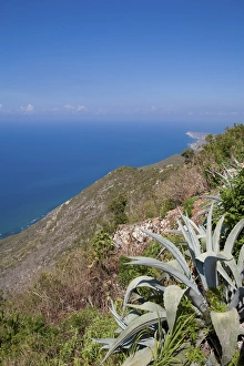 Images Dated 6th May 2006: Lovers Leap, Jamaica South Coast