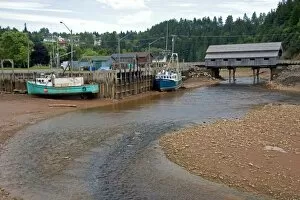 Images Dated 3rd August 2006: Low tide at the