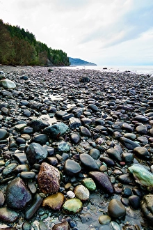 Weathered Prints: Low tide, Freshwater Bay beach, Port Angeles, Washington State, USA
