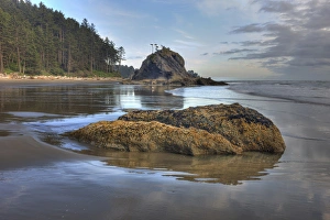 Natural Beauty Prints: Low tide. Olympic National Park, Washington, US