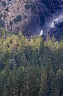 Images Dated 28th March 2007: Lower Bridalveil Fall and tree tops - Yosemite National Park, California