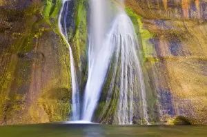 Mossy Prints: Lower Calf Creek Falls, Grand Staircase-Escalante National Monument, Utah