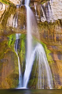 Mossy Prints: Lower Calf Creek Falls, Grand Staircase-Escalante National Monument, Utah USA