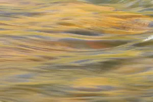 Images Dated 7th June 2013: Lower Deschutes River, Central Oregon, USA