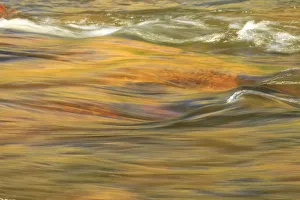 Images Dated 7th June 2013: Lower Deschutes River, Central Oregon, USA