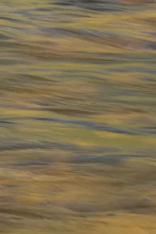 Images Dated 7th June 2013: Lower Deschutes River, Central Oregon, USA