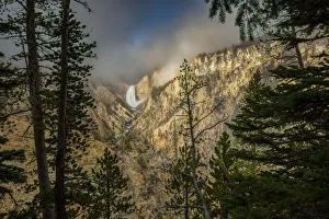 Lower Falls from Artist Point, Grand Canyon of Yellowstone, Yellowstone National Park