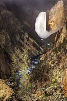 Images Dated 12th September 2020: Lower Falls from Artist Point, Grand Canyon of Yellowstone, Yellowstone National Park