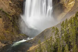 Elevated View Prints: Lower Falls, Grand Canyon of the Yellowstone, Yellowstone National Park, Wyoming