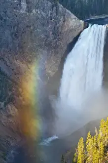 Yellow Stone Prints: Lower Falls in the Grand Canyon of the Yellowstone River in Yellowstone National