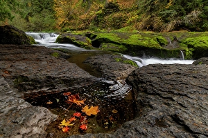 Prints of Lower Lewis River Falls in autumn in the Gifford Pinchot National Forest, Washington State, USA Images Dated 2024 April: Lower Lewis River Falls in autumn in the Gifford Pinchot National Forest