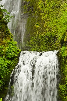 Multnomah Falls Prints: Lower Multnomah Falls, Columbia Gorge, Oregon, USA