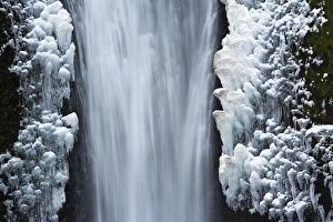 Lower Multnomah Falls; winter; Columbia Gorge; Oregon; USA