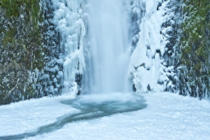 Lower Multnomah Falls; winter; frozen; Columbia Gorge; Oregon; USA