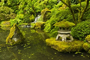 Lower Pond, Strolling Garden, Portland Japanese Garden, Portland, Oregon, USA