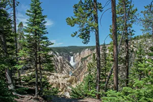 Roddy Scheer Prints: Lower Yellowstone Falls, Grand Canyon of the Yellowstone