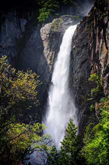 Images Dated 24th May 2011: Lower Yosemite Falls, Yosemite National Park, California