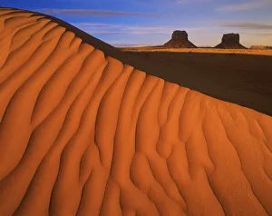 Images Dated 23rd October 2020: Lukashenka desert sand dunes in northern Arizona
