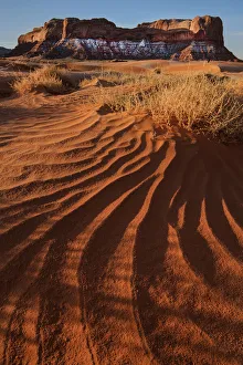 Images Dated 24th October 2020: Lukashenka desert sand dunes in northern Arizona