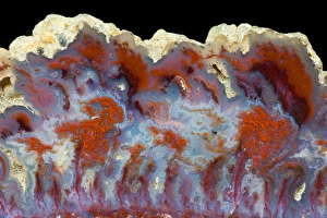 Natural Pattern Prints: Luna Agate - Mexico