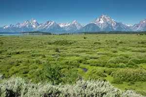 Roddy Scheer Prints: Lunch Tree Hill, Grand Teton National Park, Wyoming, Usa