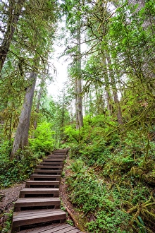 Adventure Prints: Lynn Canyon river trail, North Vancouver, British Columbia, Canada