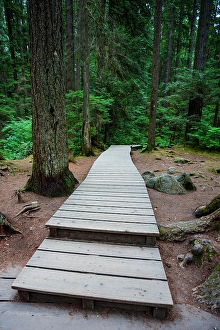 Adventure Prints: Lynn Canyon river trail, North Vancouver, British Columbia, Canada