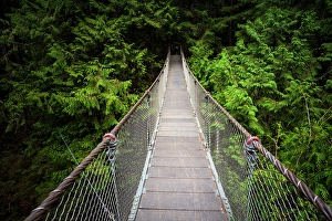 Safety Prints: Lynn Canyon Suspension Bridge, North Vancouver, British Columbia, Canada