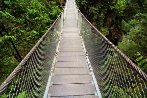 Safety Prints: Lynn Canyon Suspension Bridge, North Vancouver, British Columbia, Canada