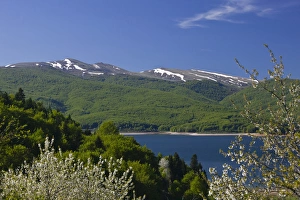 MACEDONIA, Mavrovo National Park. Springtime on Lake Mavrovo