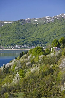 MACEDONIA, Mavrovo National Park. Springtime on Lake Mavrovo