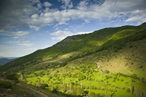 Images Dated 10th May 2007: MACEDONIA, Pelister National Park, Maloviste Village. Old Vlach mountain village-Spring