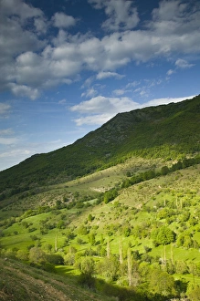 Images Dated 10th May 2007: MACEDONIA, Pelister National Park, Maloviste Village. Old Vlach mountain village-Spring