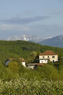 Images Dated 10th May 2007: MACEDONIA, Svinista. Fruit Growing Village and Mountains
