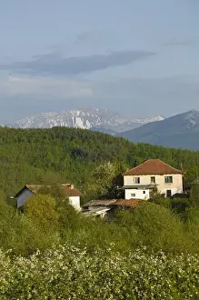 MACEDONIA, Svinista. Fruit Growing Village and Mountains