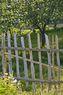 Images Dated 10th May 2007: MACEDONIA, Svinista. Garden Gate / Springtime