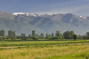 Macedonia Prints: MACEDONIA, Tetovo. Sar Planina Mountains / Morning