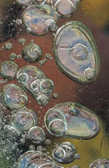 Images Dated 23rd February 2017: Macro of bubbles forming under ice along the edge of Lake McDonald in Glacier National Park