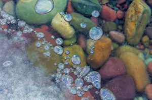 Images Dated 23rd February 2017: Macro of bubbles forming under ice along the edge of Lake McDonald in Glacier National Park
