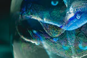 Glass Prints: Macro of colorful glass