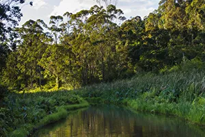 Images Dated 25th August 2019: Madagascar, Andasibe, Vakona Lodge, Lemur Island. Sunset over the canals that keep