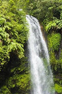 Inger Hogstrom Prints: Madagascar, Antsiranana. Amber Mountain National Park waterfall