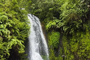 Images Dated 25th August 2019: Madagascar, Antsiranana. Amber Mountain National Park waterfall