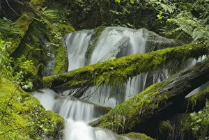 Images Dated 22nd May 2006: Madison Falls Detail in Elwha River Drainage, Olympic National Park, Washington, US