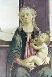 Images Dated 12th October 2005: Madonna of the