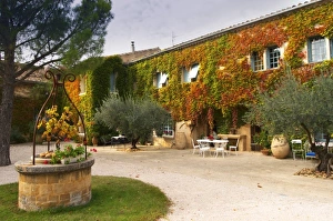 Images Dated 13th October 2005: The main building covered with vine with olive trees and a water well Chateau de Beaucastel