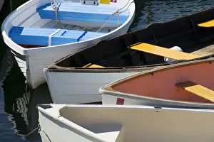 Images Dated 10th July 2014: Maine, Rockland. Colorful row boats in Rockland marina